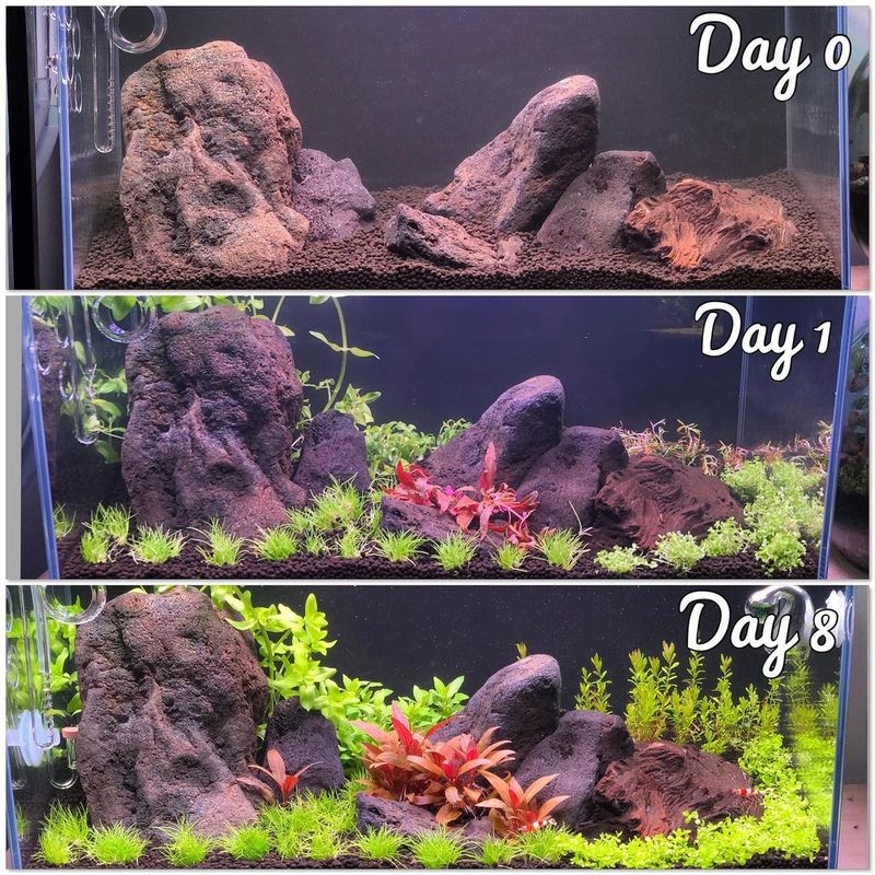 Питательный грунт (подложка, субстрат, соил) для аквариума с