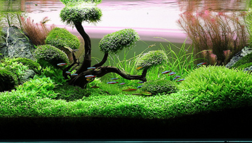 %d0%9a%d0%b0%d0%ba%d0%be%d0%b9 %d1%84%d0%b8%d0%bb%d1%8c%d1%82%d1%80 %d0%b2%d1%8b%d0%b1%d1%80%d0%b0%d1%82%d1%8c %d0%bd%d0%b0%d1%87%d0%b8%d0%bd%d0%b0%d1%8e%d1%89%d0%b5%d0%bc%d1%83 %d0%b0%d0%ba%d0%b2%d0%b0%d1%80%d0%b8%d1%83%d0%bc%d0%b8%d1%81%d1%82%d1%83