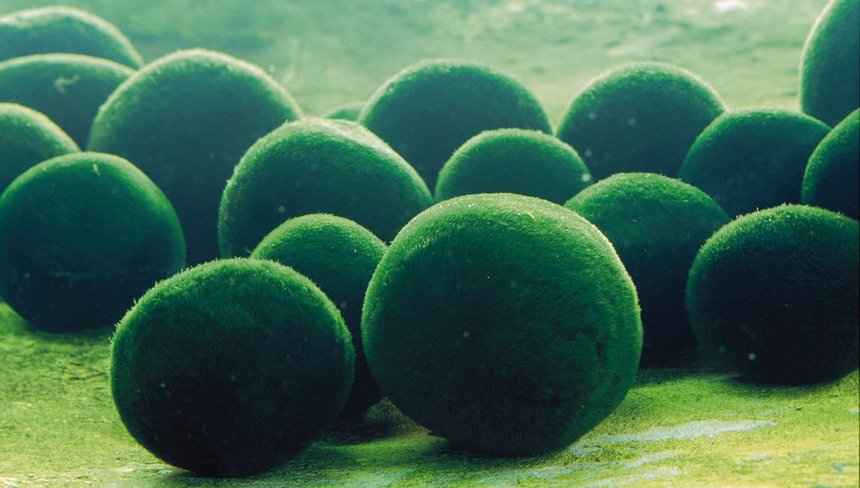 %d0%9a%d0%bb%d0%b0%d0%b4%d0%be%d1%84%d0%be%d1%80%d0%b0 %d0%b2 %d0%b0%d0%ba%d0%b2%d0%b0%d1%80%d0%b8%d1%83%d0%bc%d0%b5 %e2%80%94 %d0%ba%d0%be%d0%bf%d0%b8%d1%8f %e2%80%94 %d0%ba%d0%be%d0%bf%d0%b8%d1%8f