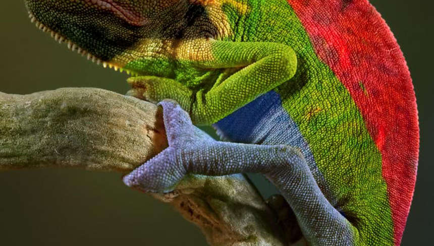 %d0%9f%d0%be%d1%87%d0%b5%d0%bc%d1%83 %d1%80%d0%b5%d0%bf%d1%82%d0%b8%d0%bb%d0%b8%d1%8f%d0%bc %d0%bd%d1%83%d0%b6%d0%b5%d0%bd %d1%83%d0%bb%d1%8c%d1%82%d1%80%d0%b0%d1%84%d0%b8%d0%be%d0%bb%d0%b5%d1%82%d0%be%d0%b2%d1%8b%d0%b9 %d1%81%d0%b2%d0%b5%d1%82