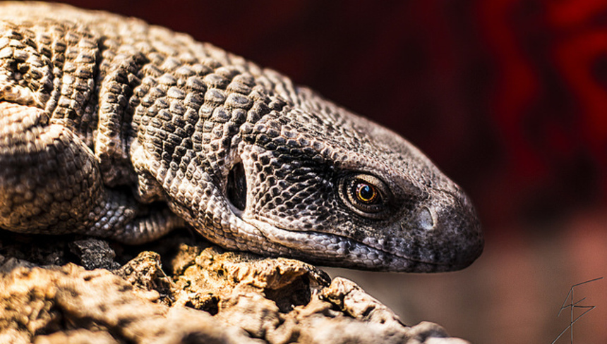 %d0%9a%d0%b0%d0%bf%d1%81%d0%ba%d0%b8%d0%b9 %d0%b2%d0%b0%d1%80%d0%b0%d0%bd