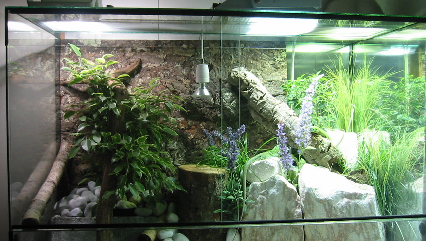 %d0%a2%d0%b5%d1%80%d1%80%d0%b0%d1%80%d0%b8%d1%83%d0%bc %d0%b8 %d0%b5%d0%b3%d0%be %d0%be%d0%b1%d0%b8%d1%82%d0%b0%d1%82%d0%b5%d0%bb%d0%b8