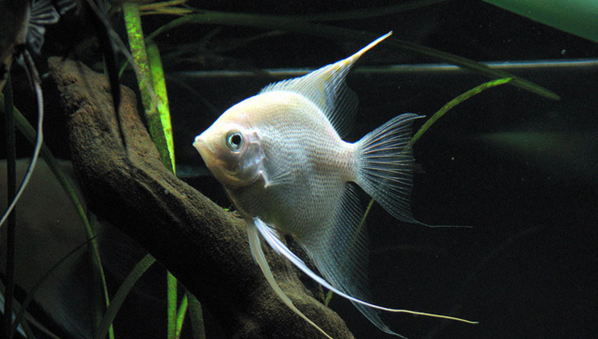 %d0%a1%d0%ba%d0%b0%d0%bb%d1%8f%d1%80%d0%b8%d1%8f %d0%b3%d0%be%d1%81%d0%bf%d0%be%d0%b6%d0%b0 %d0%b3%d1%80%d0%b0%d1%86%d0%b8%d0%be%d0%b7%d0%bd%d0%be%d1%81%d1%82%d1%8c %d0%bf%d1%80%d0%b5%d1%81%d0%bd%d0%be%d0%b2%d0%be%d0%b4%d0%bd%d1%8b%d1%85 %d0%bc%d0%b8%d1%80%d0%be%d0%b2