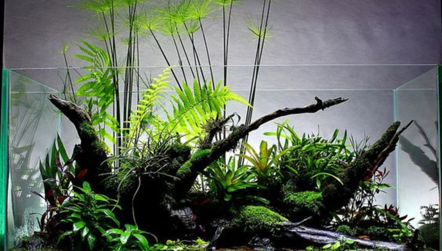 %d0%9e%d0%b1%d0%b7%d0%be%d1%80 %d0%bb%d1%83%d1%87%d1%88%d0%b8%d1%85 %d1%84%d0%b8%d0%bb%d1%8c%d1%82%d1%80%d0%be%d0%b2 %d0%b4%d0%bb%d1%8f %d1%87%d0%b5%d1%80%d0%b5%d0%bf%d0%b0%d1%85