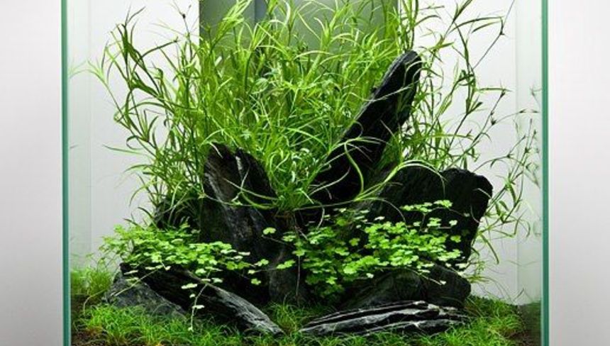 %d0%9e%d0%b1%d0%b7%d0%be%d1%80 %d1%84%d0%b8%d0%bb%d1%8c%d1%82%d1%80%d0%be%d0%b2 %d1%81 %d0%b0%d1%8d%d1%80%d0%b0%d1%86%d0%b8%d0%b5%d0%b9