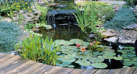 %d0%a1%d1%82%d1%80%d0%be%d0%b8%d1%82%d0%b5%d0%bb%d1%8c%d1%81%d1%82%d0%b2%d0%be %d0%b8%d1%81%d0%ba%d1%83%d1%81%d1%81%d1%82%d0%b2%d0%b5%d0%bd%d0%bd%d1%8b%d1%85 %d0%bf%d1%80%d1%83%d0%b4%d0%be%d0%b2