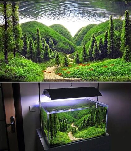 %d0%be%d1%84%d0%be%d1%80%d0%bc%d0%bb%d0%b5%d0%bd%d0%b8%d0%b5 %d0%b0%d0%ba%d0%b2%d0%b0%d1%80%d0%b8%d1%83%d0%bc%d0%b0 50 %d0%bb%d0%b8%d1%82%d1%80%d0%be%d0%b2