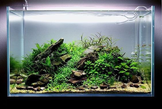 %d0%b4%d0%b8%d0%b7%d0%b0%d0%b8%cc%86%d0%bd %d0%b0%d0%ba%d0%b2%d0%b0%d1%80%d0%b8%d1%83%d0%bc%d0%b0 40 %d0%bb%d0%b8%d1%82%d1%80%d0%be%d0%b2