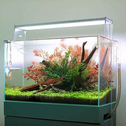 %d0%94%d0%b8%d0%b7%d0%b0%d0%b8%cc%86%d0%bd %d0%be%d1%84%d0%be%d1%80%d0%bc%d0%bb%d0%b5%d0%bd%d0%b8%d0%b5 %d0%b8 %d0%b7%d0%b0%d0%bf%d1%83%d1%81%d0%ba %d0%b0%d0%ba%d0%b2%d0%b0%d1%80%d0%b8%d1%83%d0%bc%d0%b0 100 %d0%bb%d0%b8%d1%82%d1%80%d0%be%d0%b2