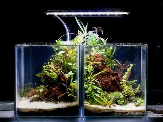 %d0%94%d0%b8%d0%b7%d0%b0%d0%b8%cc%86%d0%bd %d0%b8 %d0%be%d1%84%d0%be%d1%80%d0%bc%d0%bb%d0%b5%d0%bd%d0%b8%d0%b5 %d0%bd%d0%b0%d0%bd%d0%be %d0%b0%d0%ba%d0%b2%d0%b0%d1%80%d0%b8%d1%83%d0%bc%d0%b0