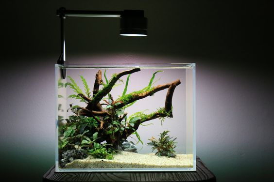 %d0%94%d0%b8%d0%b7%d0%b0%d0%b8%cc%86%d0%bd %d0%b8 %d0%be%d1%84%d0%be%d1%80%d0%bc%d0%bb%d0%b5%d0%bd%d0%b8%d0%b5 %d0%b0%d0%ba%d0%b2%d0%b0%d1%80%d0%b8%d1%83%d0%bc%d0%b0 20 %d0%bb%d0%b8%d1%82%d1%80%d0%be%d0%b2