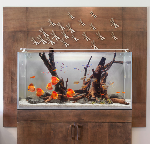 037599c6ae37f24c7124b8a9927c9a51