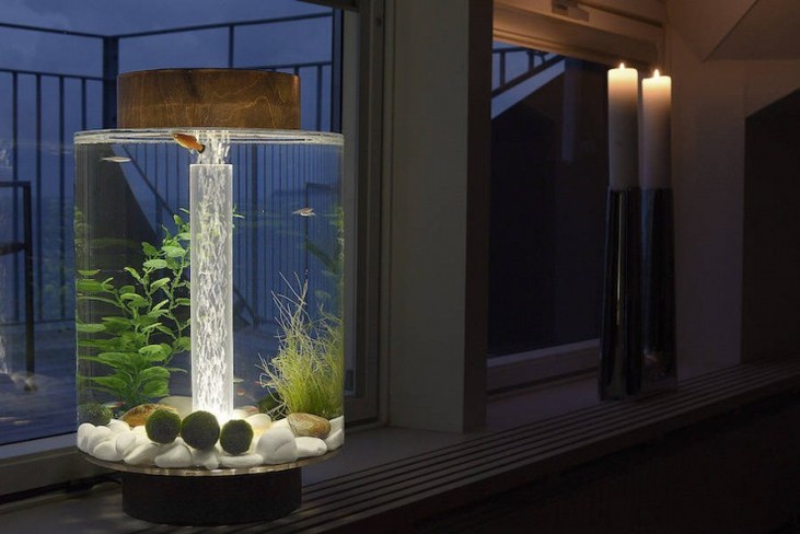 Cylindrical shaped aquarium 02 740x494