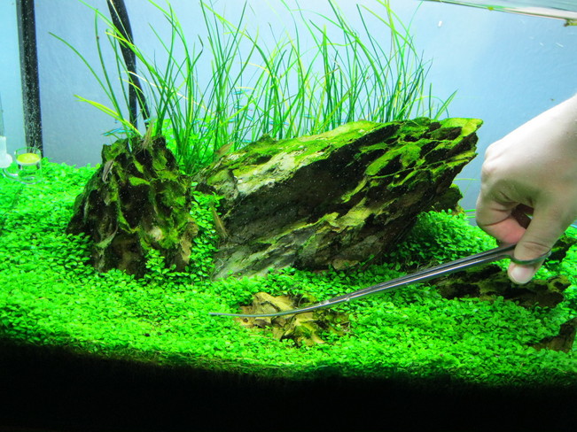 2f98207528c948419964e95413d18ca0