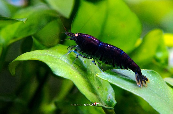 22405451 10214328822962297 1570543543415342099 n