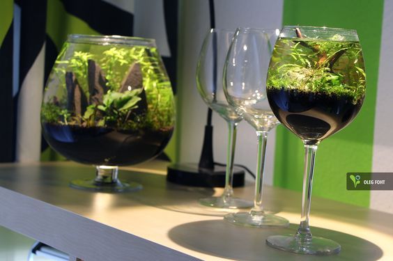 Ca48c62f7990a1d9b56d79c9ecf19bdb