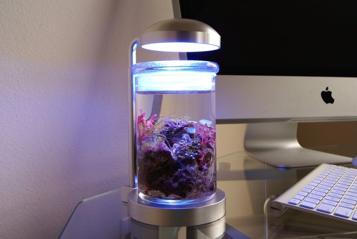 Pjreef 003 lifestyle 2000x