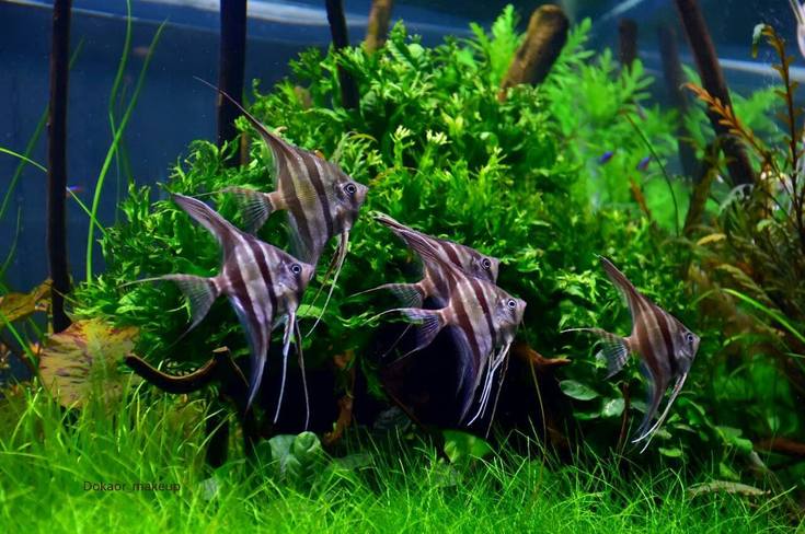 26198043 1975202822801967 5023725728644247040 o