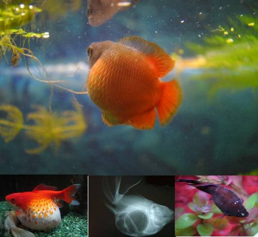 28124539 2018059818442470 934931886 o