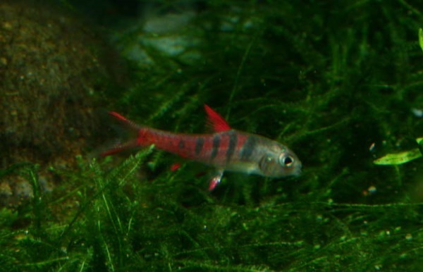 Jae puntiu.2004326163039