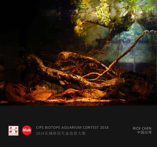 42295351 2116309278697428 1402004112848977920 o