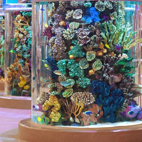 43561607 1978567412440375 1771978874968604672 o