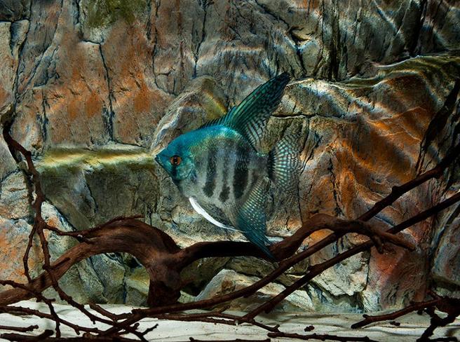 23843582 1471775476205380 693538346697553656 n