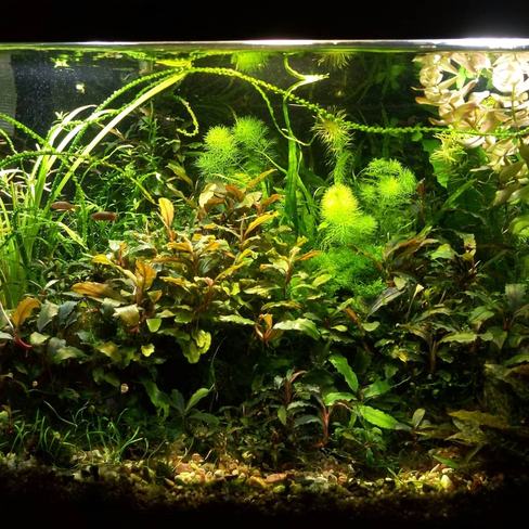 51196941 2105962532825147 3937188424229847040 o