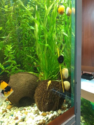 76695112 174006187098819 8830646197313077248 n