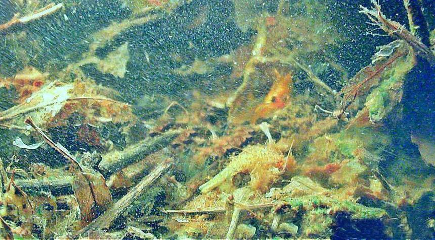 54190731 993564000833317 6786156419121938432 n