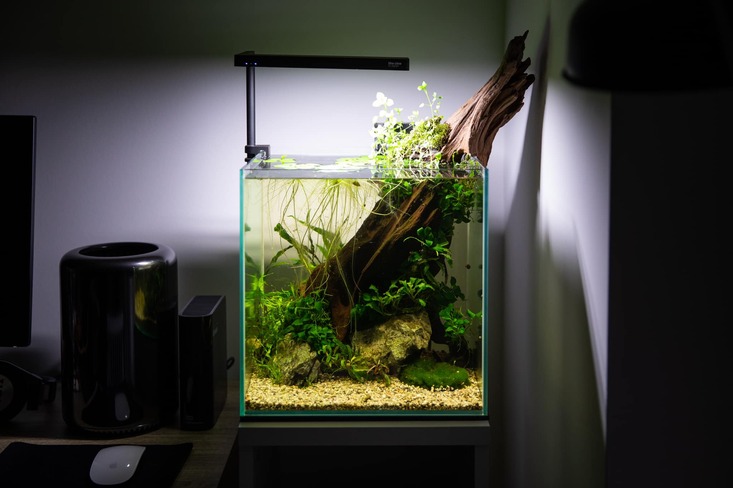 80287142 2766521696701632 6854593944139857920 o