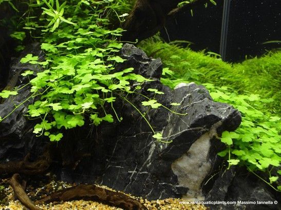 76bbb67ff9f94105dc5fc20b390b45d2