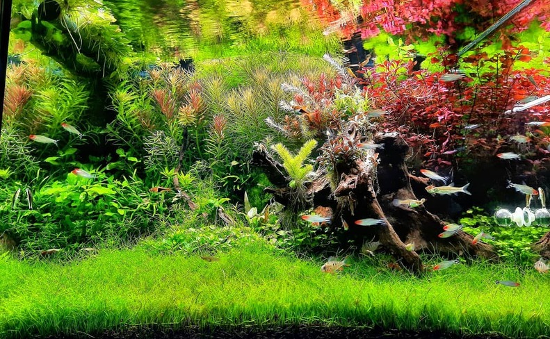 120765360 124207715839030 628957462933561960 n