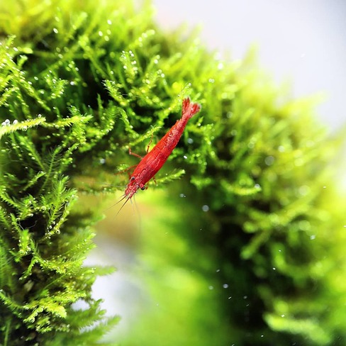 94017159 157945289023804 9013606439512751463 n