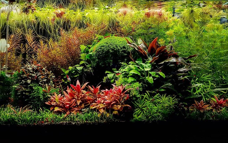 120539554 250185219732031 29091969648528865 n