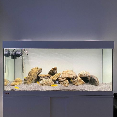 146960320 416706086075088 7478907114431923498 n