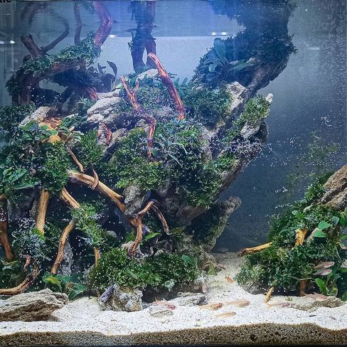 146701889 101218118636640 6244890856043051343 n